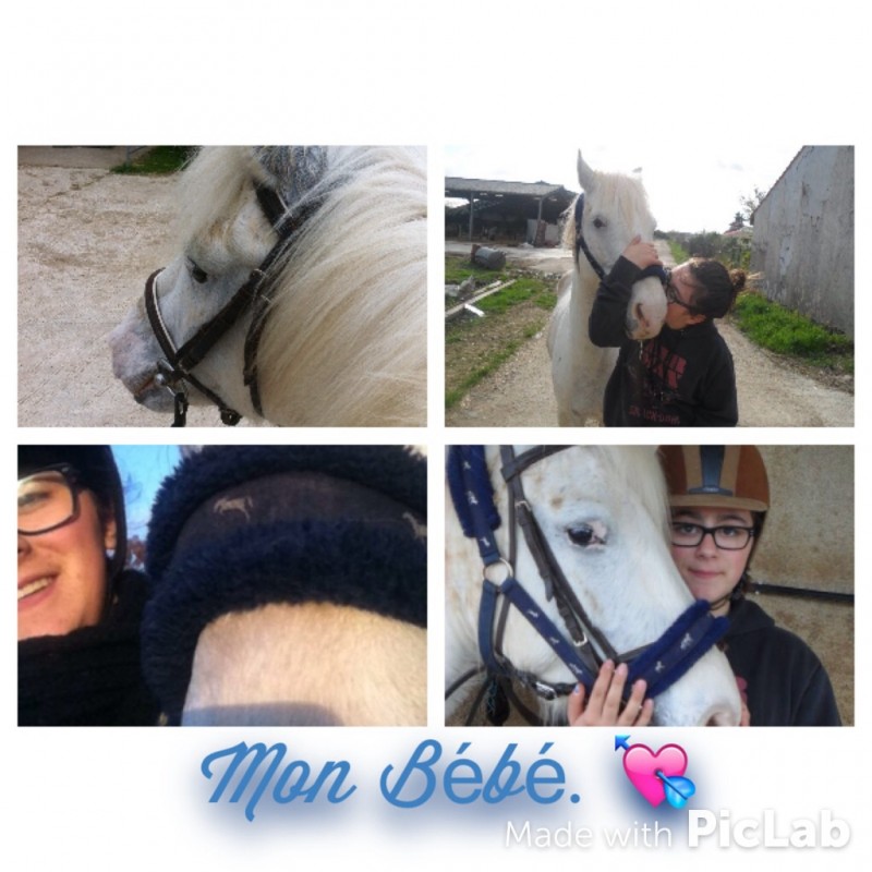 Titeuf Du Bouquet ! 💘