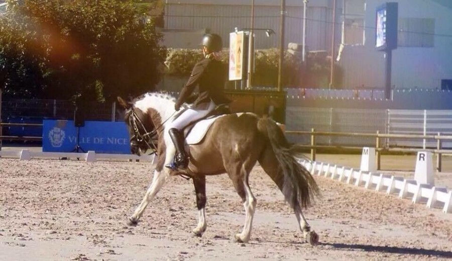 Dressage Nice 