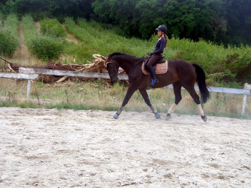 Qualito, 8 ans, TP pr�c�dente