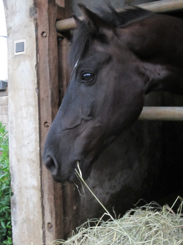 Mon bichik!!!