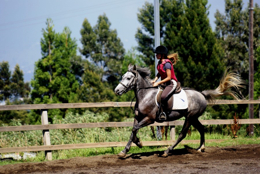 galop  gauche
