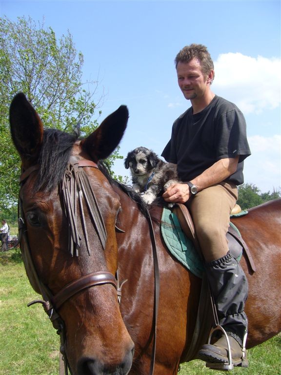 mon avenir avec les chevaux