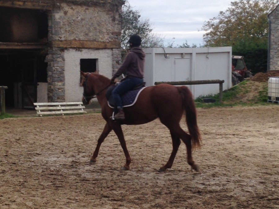 Uvene ch�rie au travail
