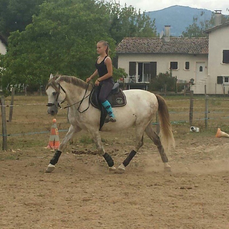 aout 2015