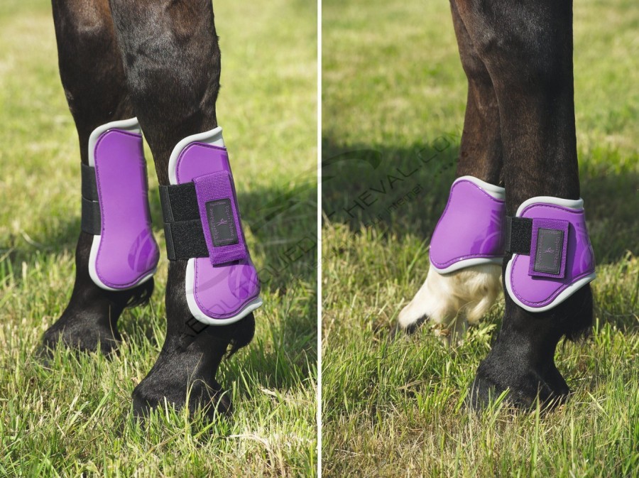 ensemble guetres PB taille cheval equitheme violet  20