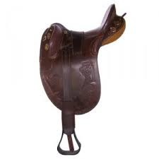 selle australienne 17