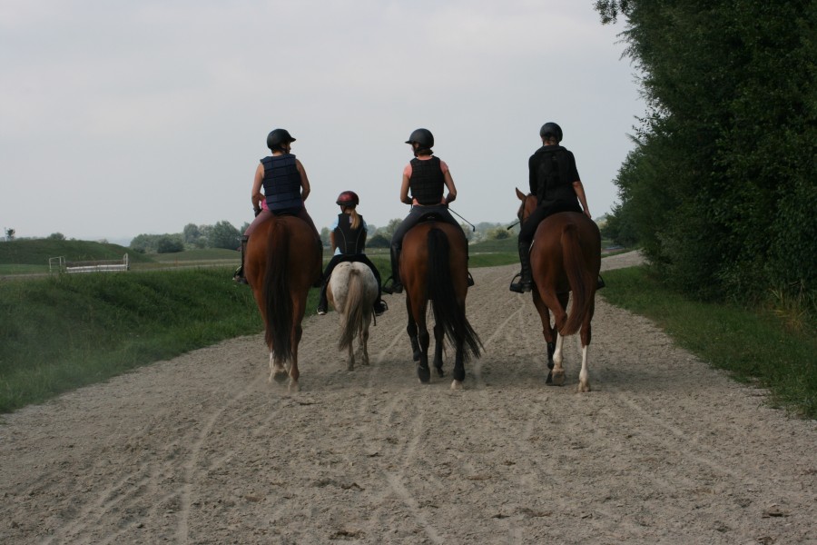 Journe mmorable au Haras sur les pistes suivi d'une bonne baignade au lac, cocotte dteste l'eau 