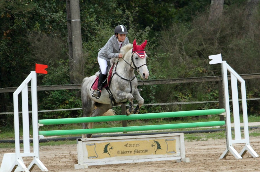 Ligny le Ribault. Poney 1 SF. 10/10/2015.