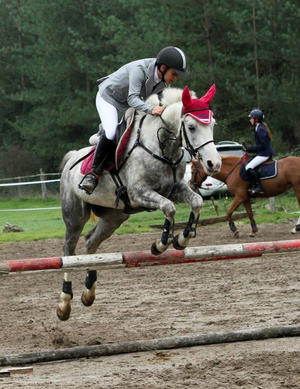 Ligny le Ribault. Paddock. 10/10/2015.