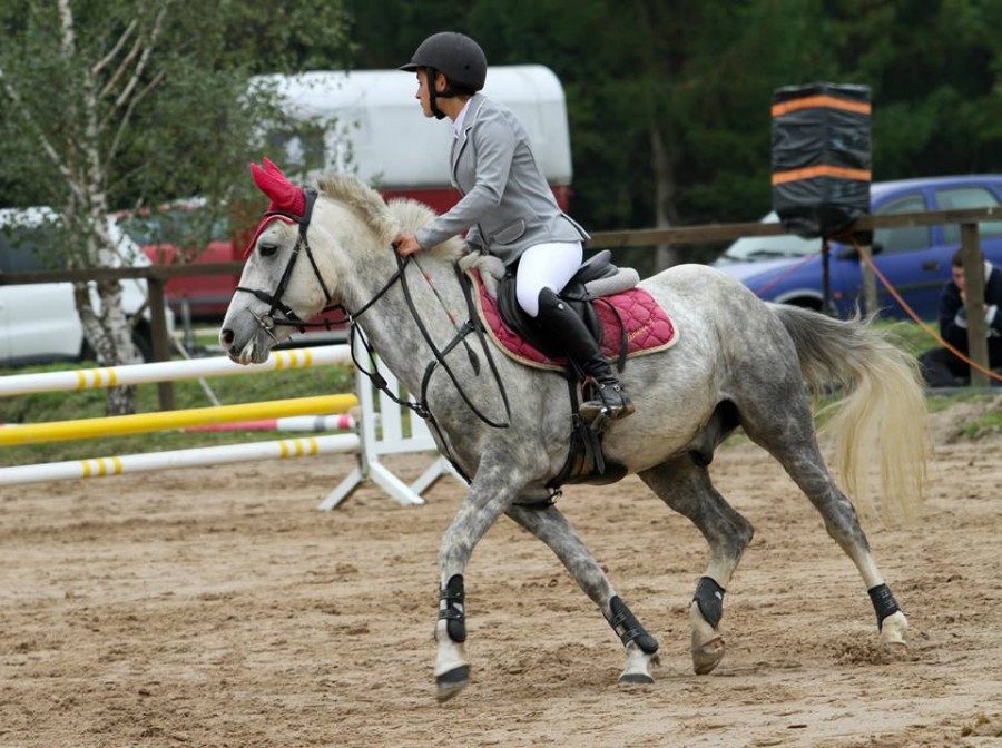 Ligny le Ribault. Poney 2. 10/10/2015.