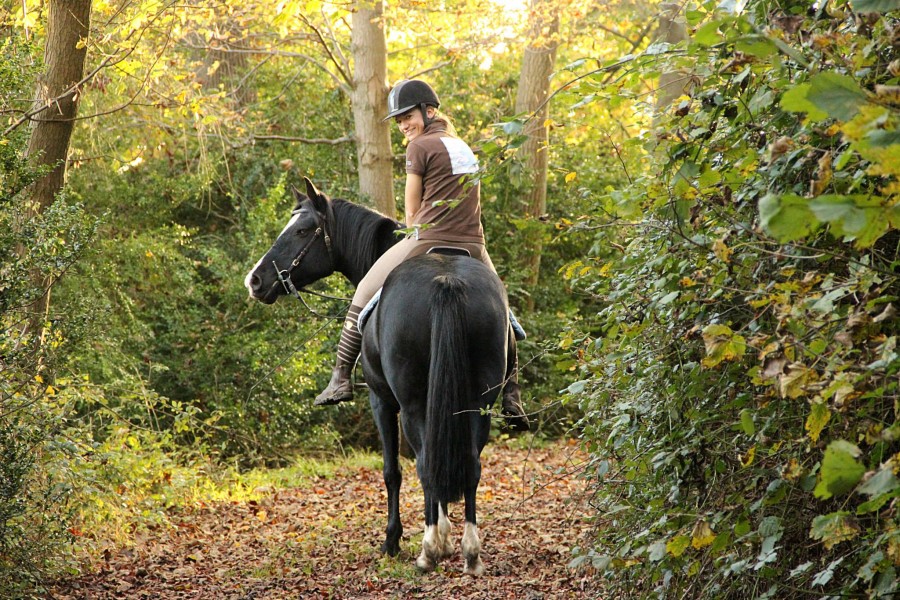 automne 2014