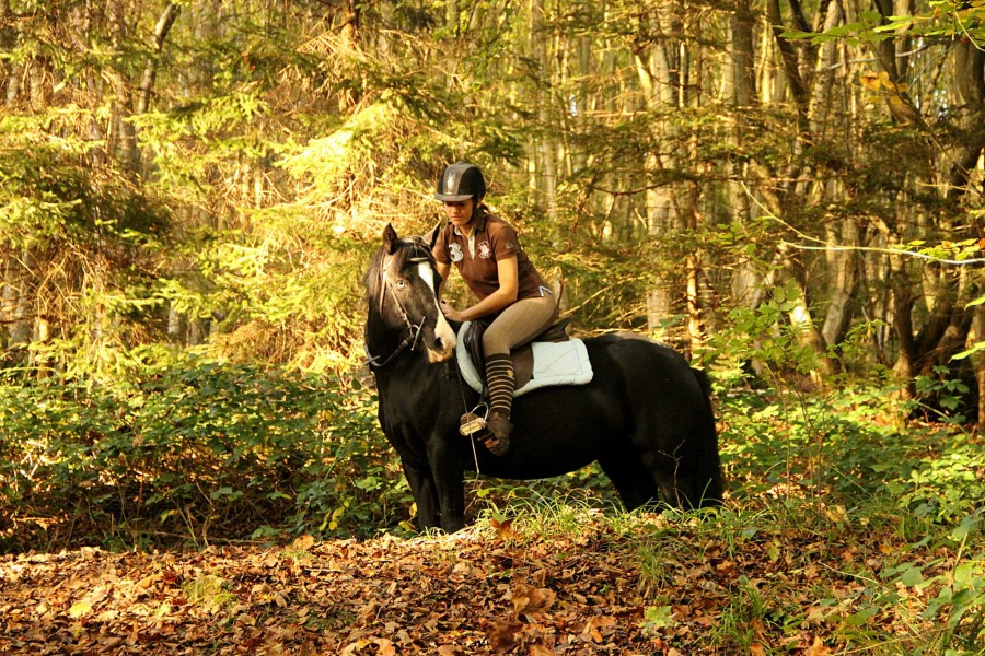 automne 2014