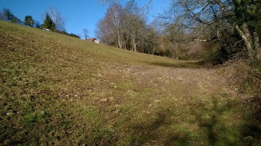 prairie donnant sur le maison