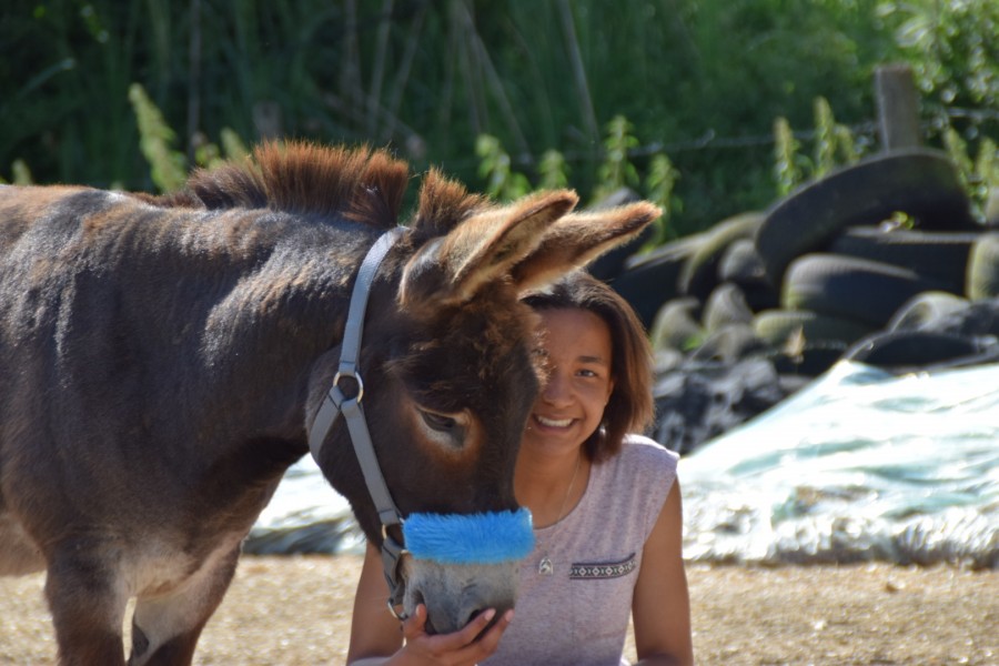 ~ Cravache et moi ~