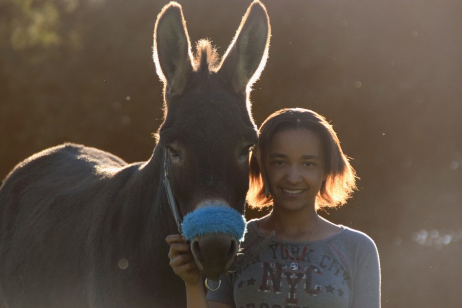 ~ Cravache et moi ~