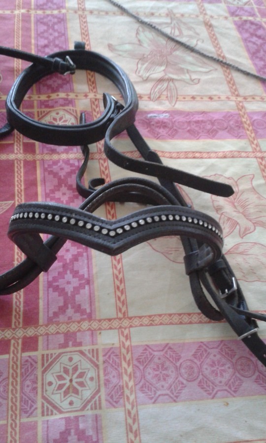 Filet complet avec renne et frontal 45 euro