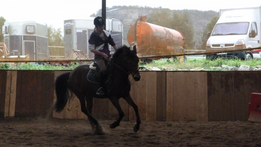 En manque de poney !! Envie de galoper 