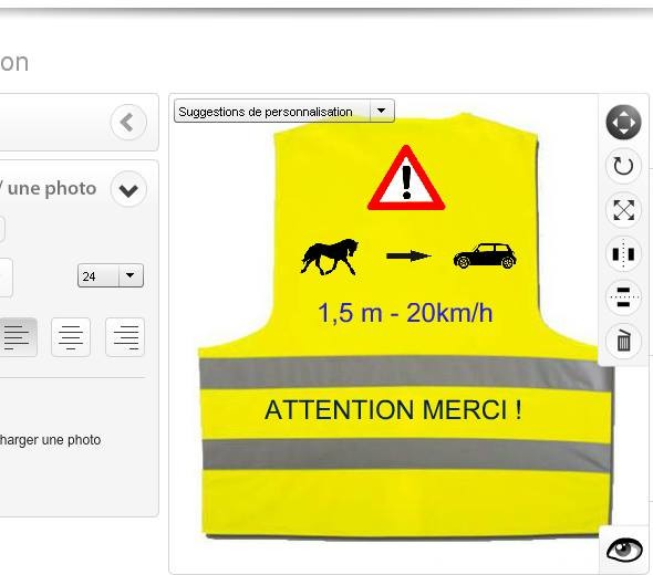 gilet jaune cheval