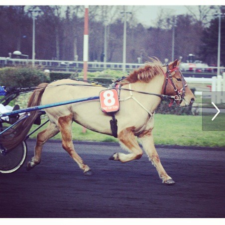 Unni Speed, Vincennes 2014, Championnat de France de Trot  Poney