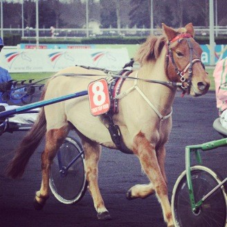 Unni Speed, Vincennes 2014, Championnat de France de Trot  Poney