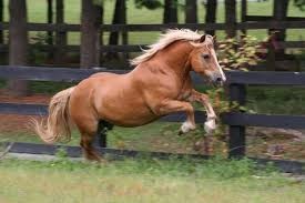 ouragan