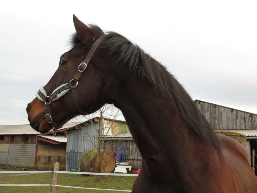 Mon BB <3