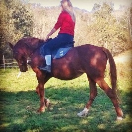 my love