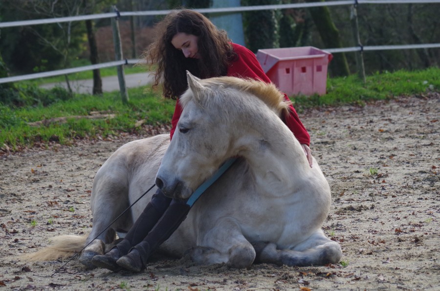 Mon premier cheval, Kiwi :)
