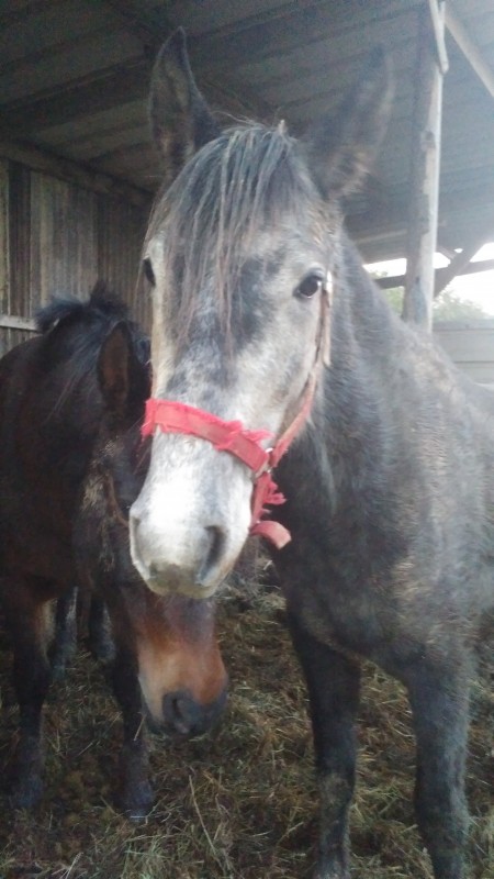 Son p�re maintenant (4 ans)