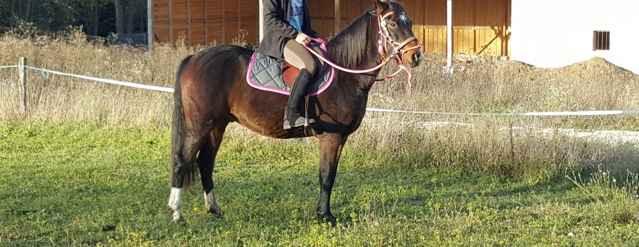 Boubou en carriere en side pull ;-)