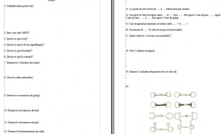 Quiz QCM Galop 4 FFE (2) - Equitation