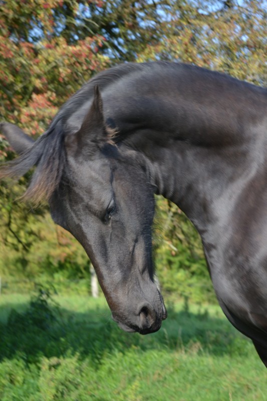 Farah veut passer un casting pour l'Oreal ;-)