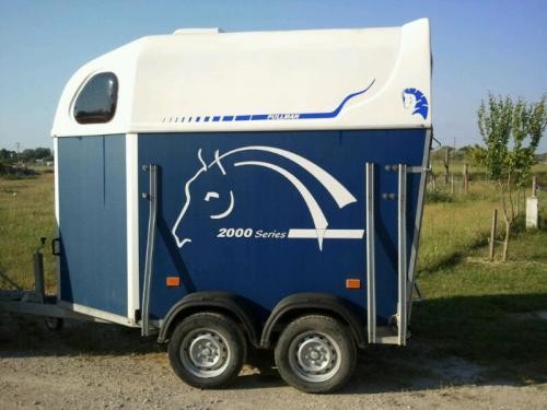 Vans chevaux hotsell