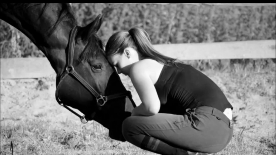 Mon bb 
