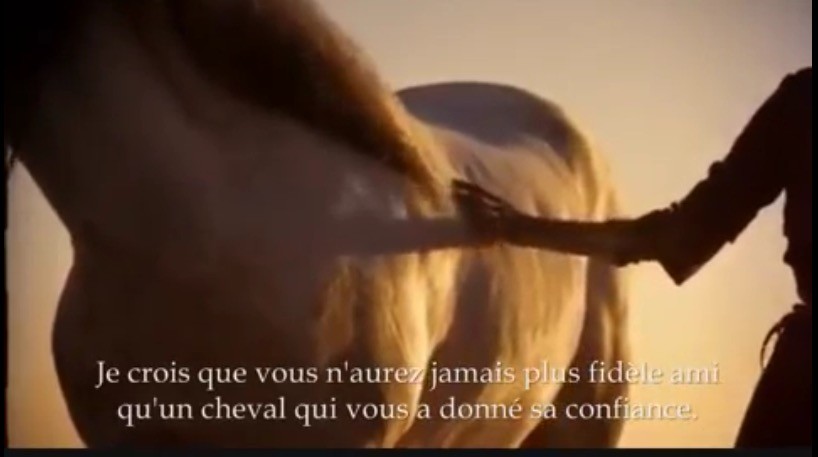 Ppin mon gros Loulou des plages (ses pas moi qui a trouv la phrase ces un ami)