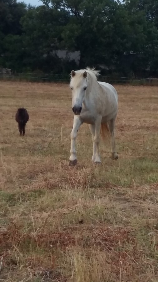 Lindy et eclipse 