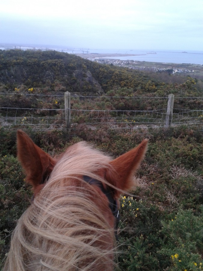 Sur les hauteurs de Cherboug avec vue sur le rade