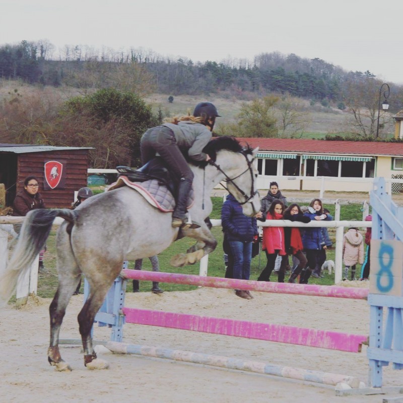 Petit chat ❤ Volga