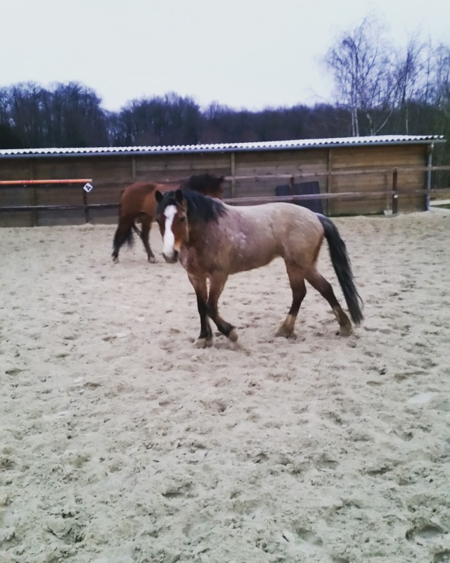 Ma petite Silvana. L'unique.