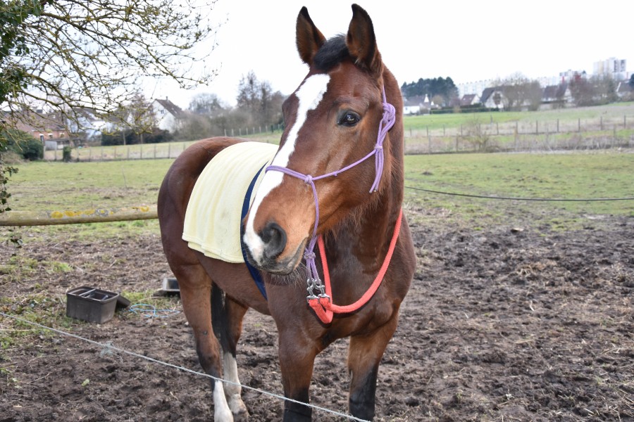 doudoute <3