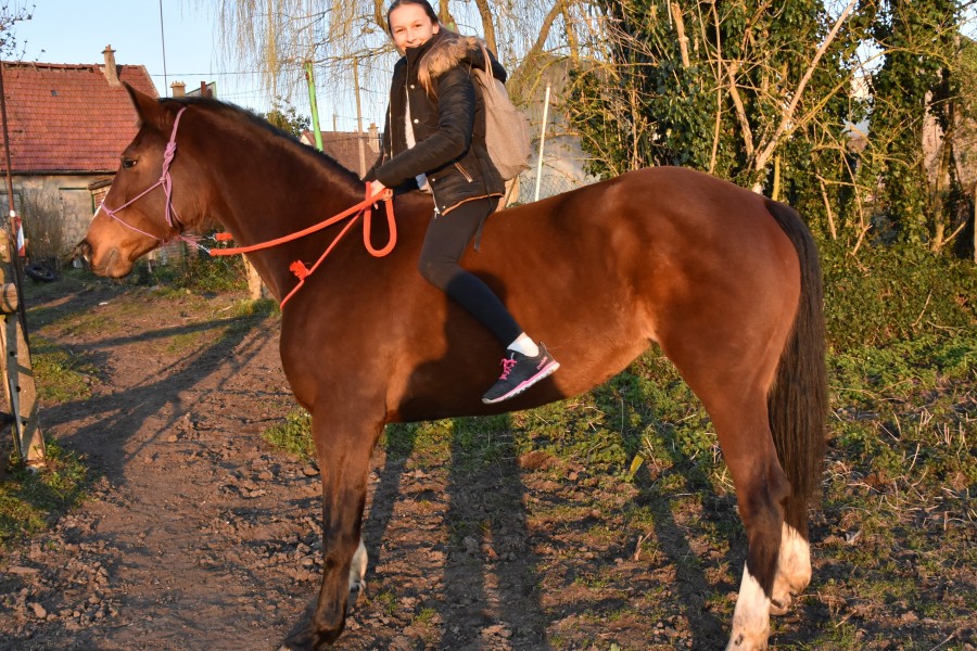 promenade a cru :-) 