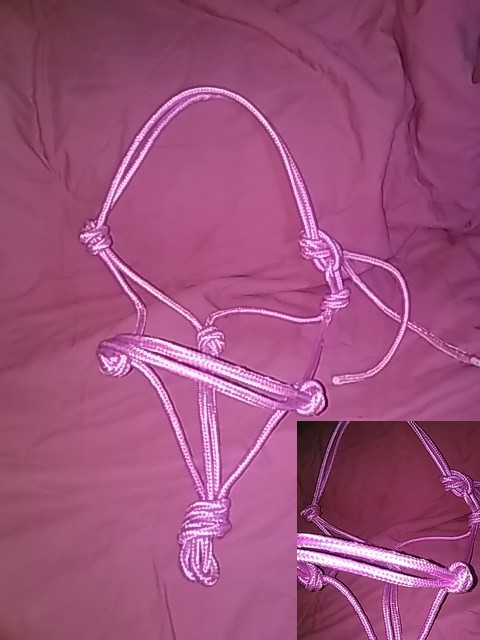 Licol simple diam�tre 8mm doux au toucher, tissage possible