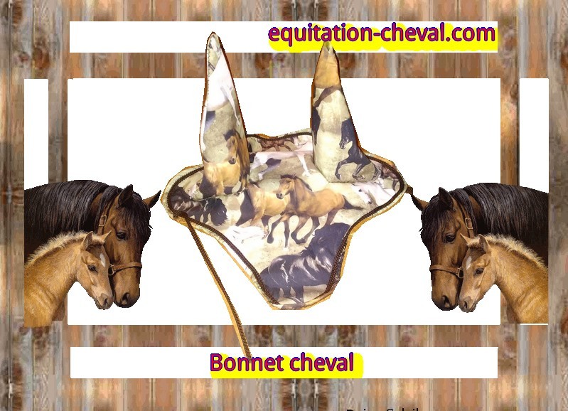 Cheval taille cheval ou poney qui peut �tre assorti au tapis