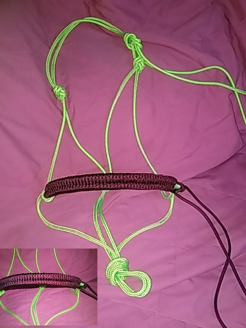 Licol vert fluo, avec tissage �pi bordeau