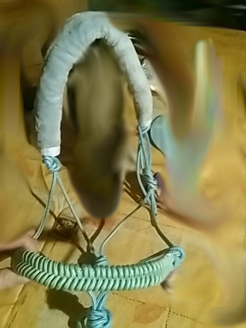 Licol bleu ciel avec tissage en �pi sur muserolle