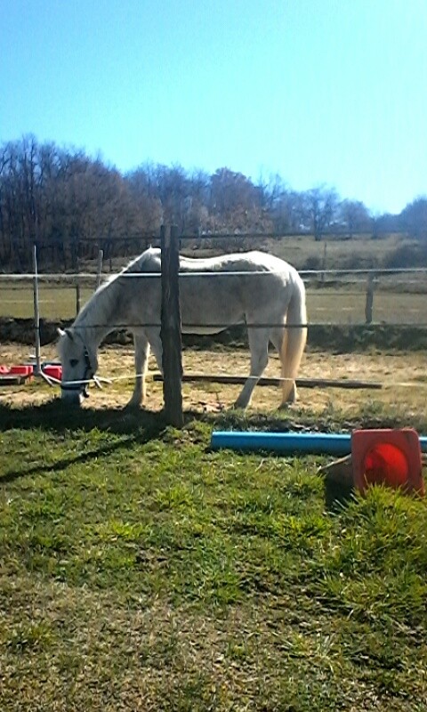 Apr�s l effort le r�confort !