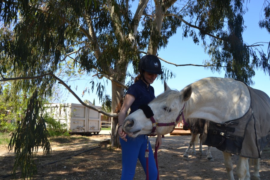 Moment c�lins (2016)