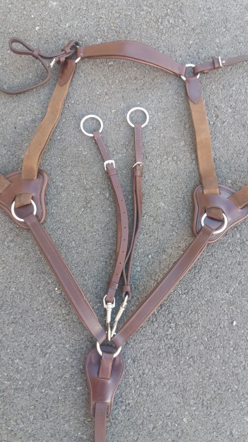 Sangle havane cuir taille cheval