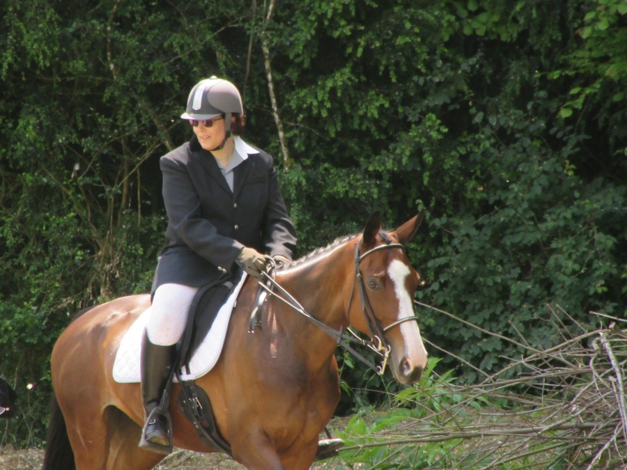 Tonik dressage