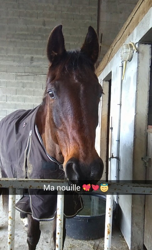 Quelques jours apr�s son arriv�e :)